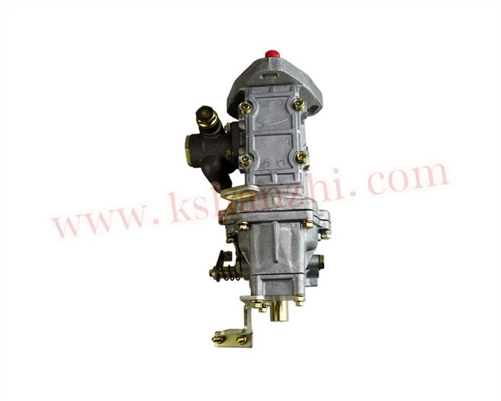 Fuel Injection Pump For Dachai 498 (BH4QT85R9/4QTF74ZH-1)